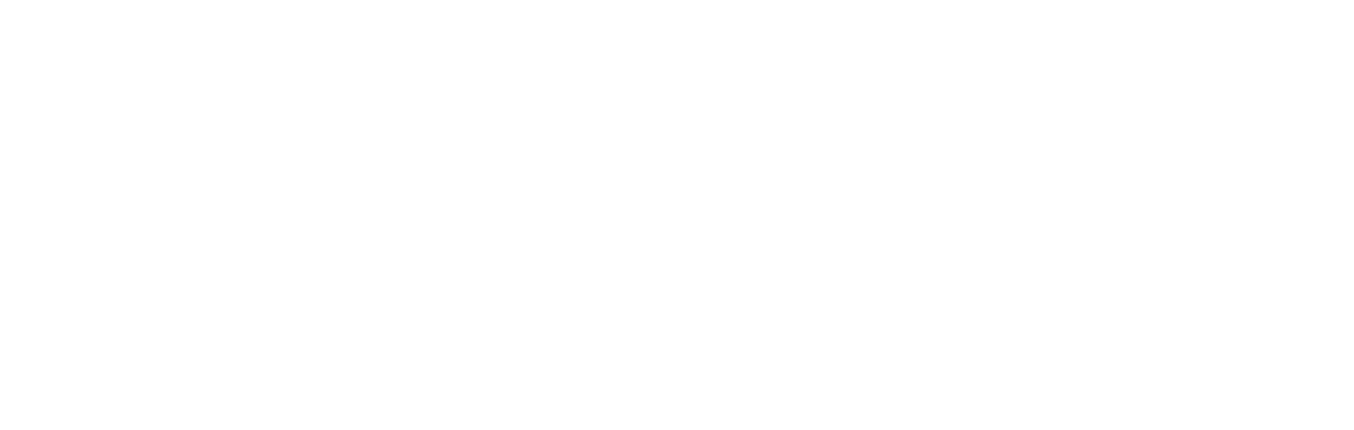 Dr Mira